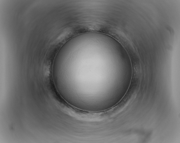 X0000113130032200909041156