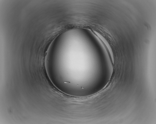 X0000113130033200909041156