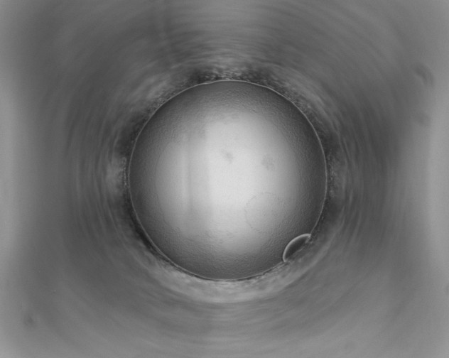 X0000113130034200909041156