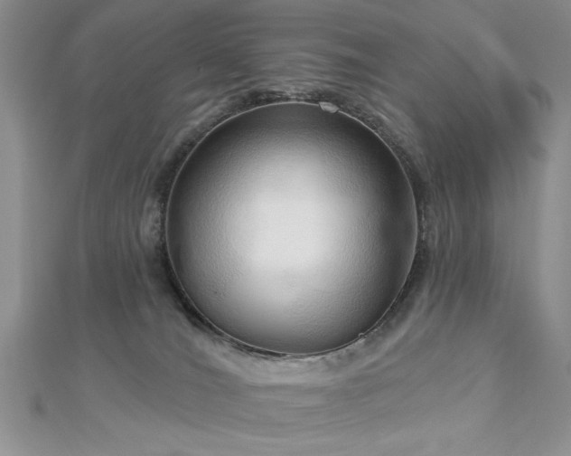 X0000113130036200909041156