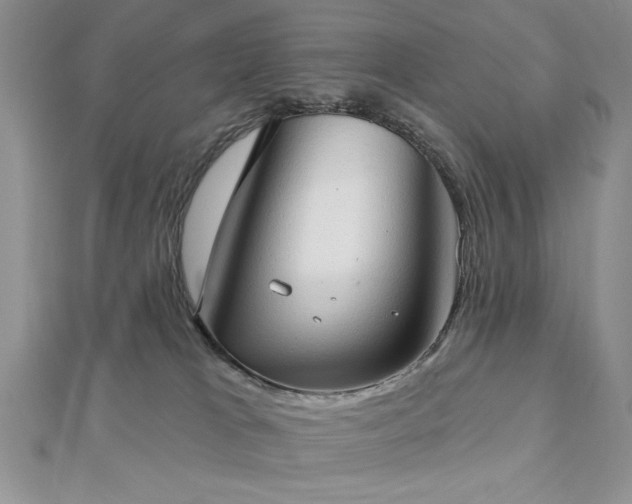 X0000113130037200909041156
