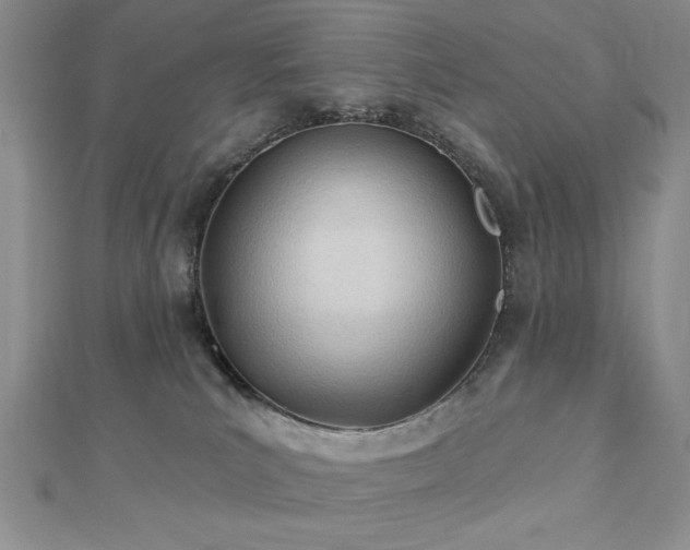 X0000113130039200909041156