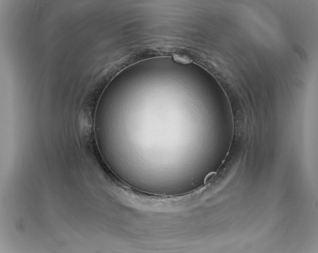X0000113130040200909041156