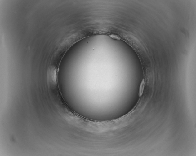 X0000113130041200909041156