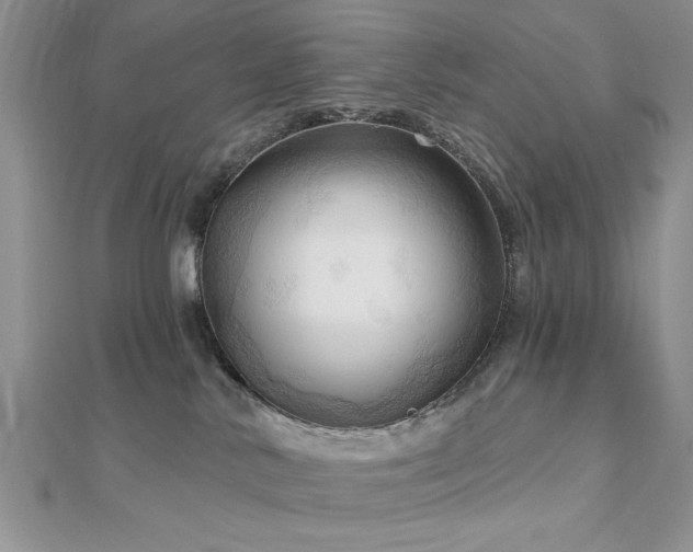 X0000113130042200909041156
