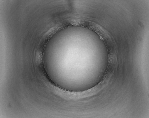 X0000113130043200909041156