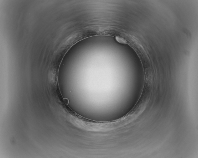 X0000113130044200909041156