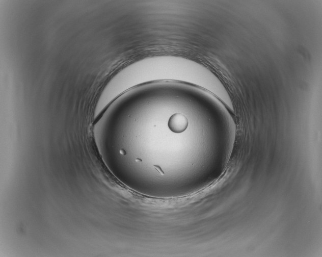X0000113130045200909041156