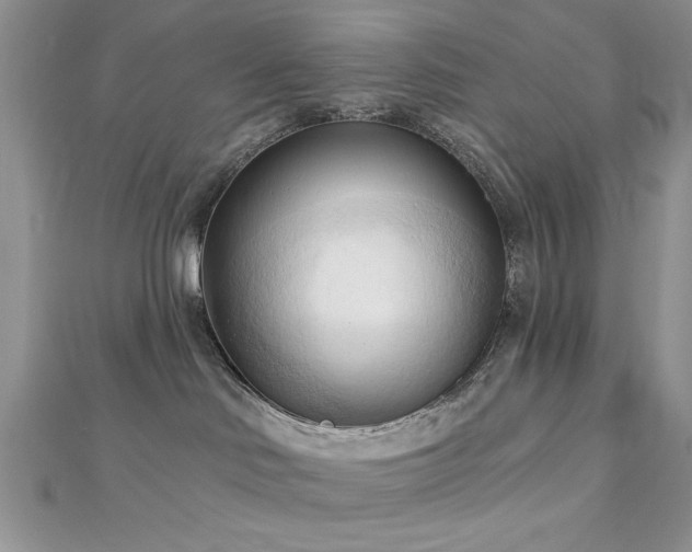X0000113130046200909041156