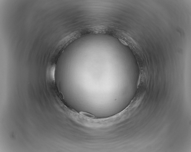 X0000113130047200909041156