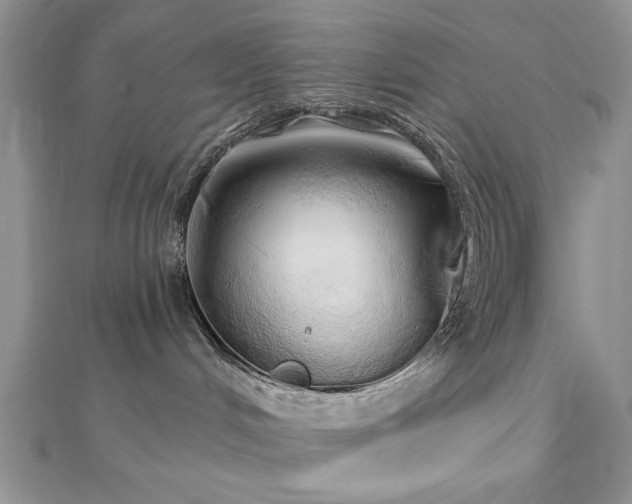X0000113130048200909041156