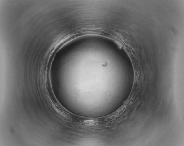 X0000113130050200909041155