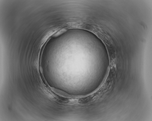 X0000113130052200909041155