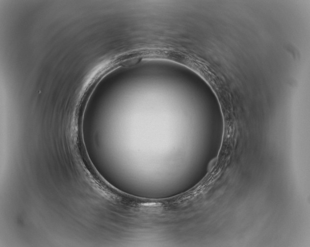 X0000113130053200909041155