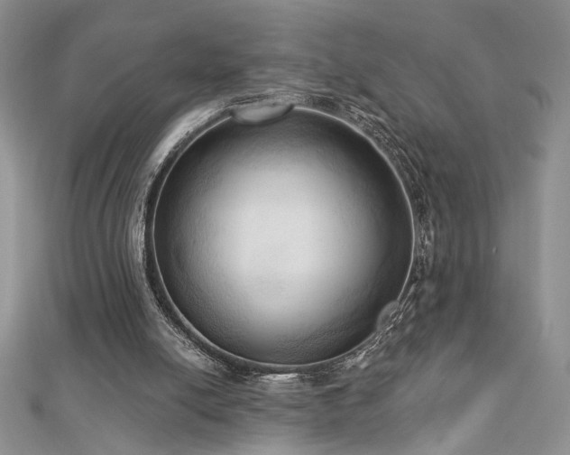 X0000113130054200909041155