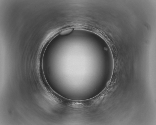 X0000113130055200909041155