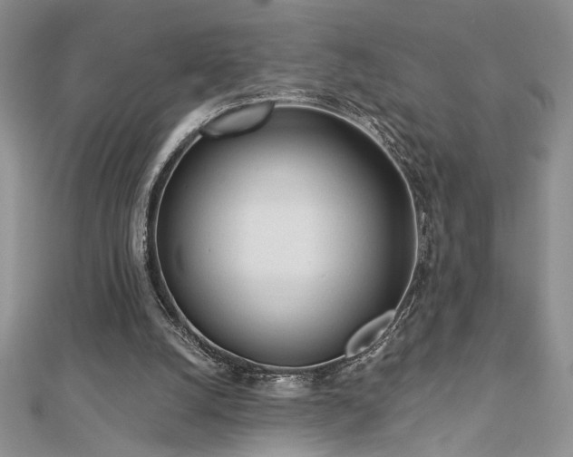 X0000113130056200909041155
