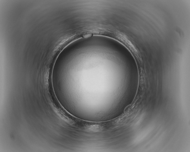 X0000113130058200909041155
