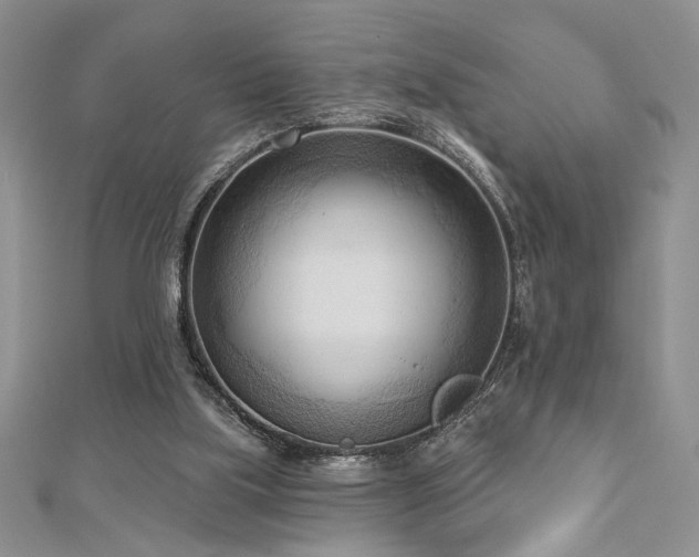 X0000113130059200909041155