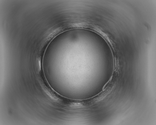 X0000113130061200909041155