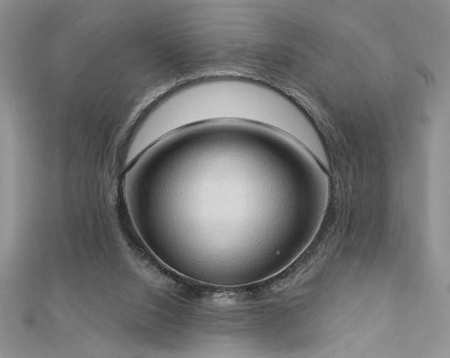 X0000113130064200909041156