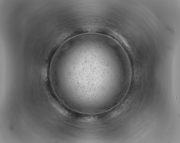 X0000113130065200909041156
