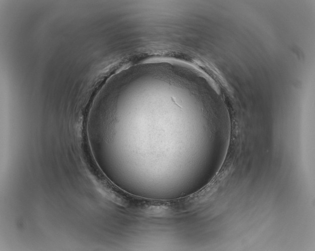 X0000113130066200909041156
