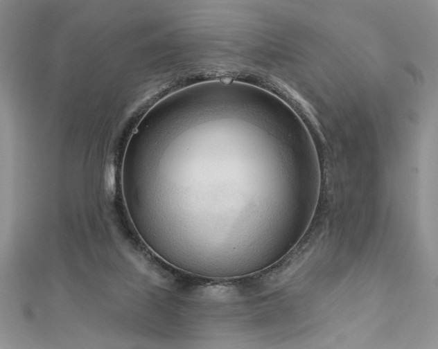 X0000113130067200909041156