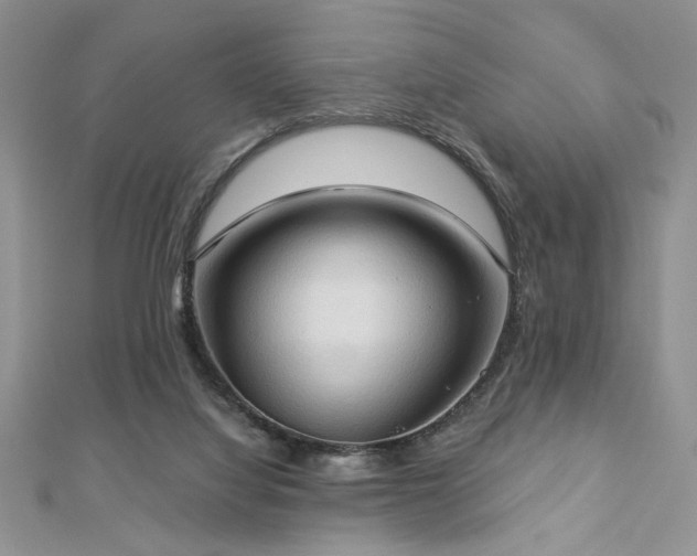 X0000113130068200909041156