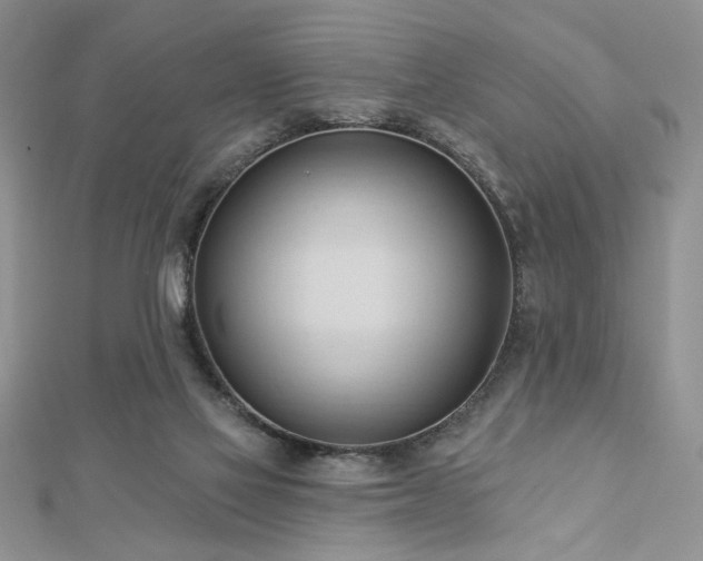 X0000113130069200909041156