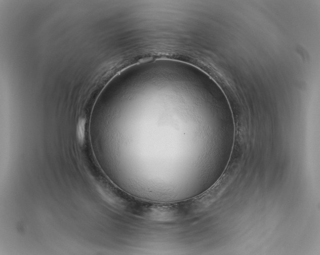 X0000113130070200909041156