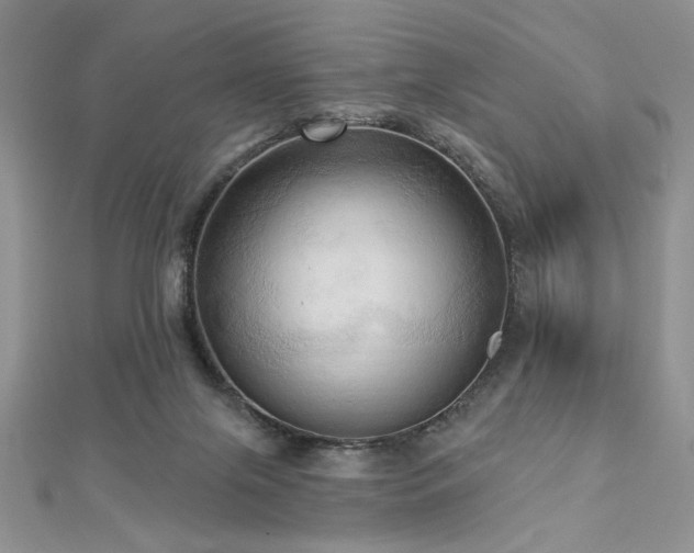 X0000113130071200909041156