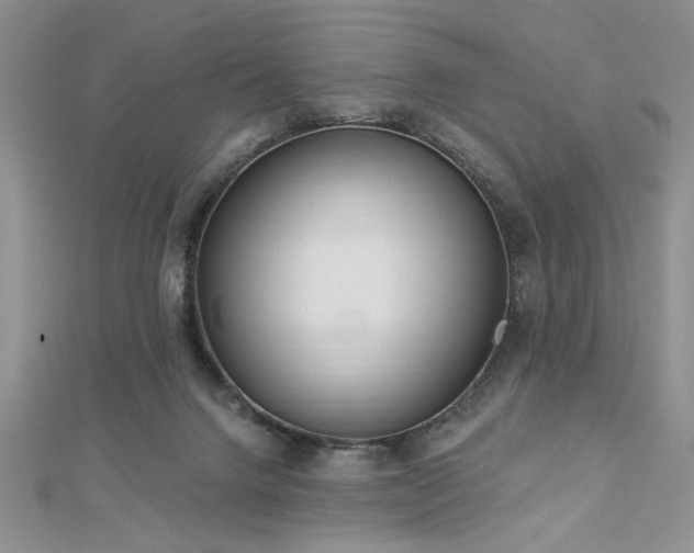 X0000113130072200909041156