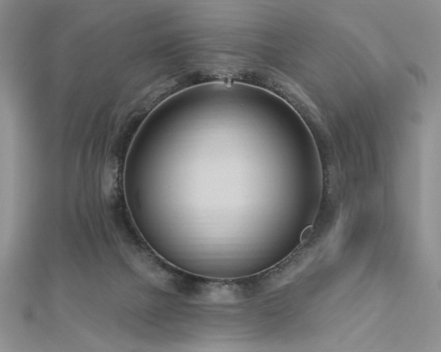 X0000113130073200909041156