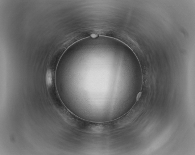 X0000113130075200909041156
