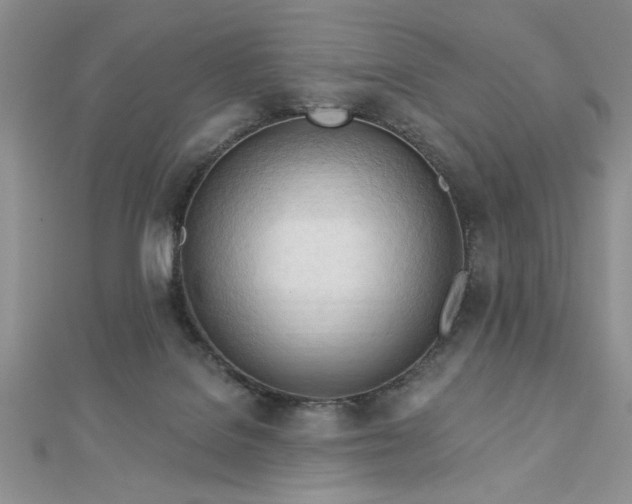 X0000113130076200909041156