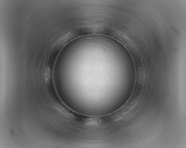 X0000113130077200909041156