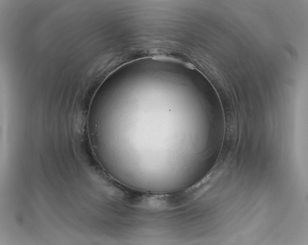X0000113130078200909041156