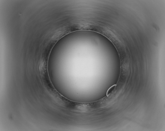 X0000113130079200909041156