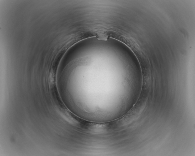 X0000113130081200909041156