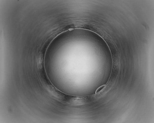 X0000113130082200909041156