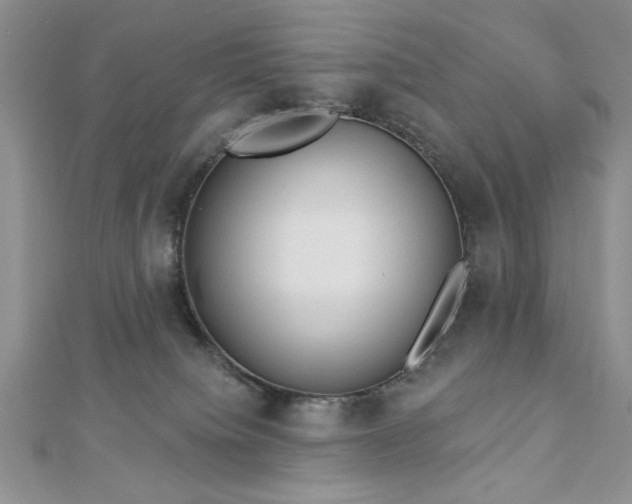 X0000113130084200909041156