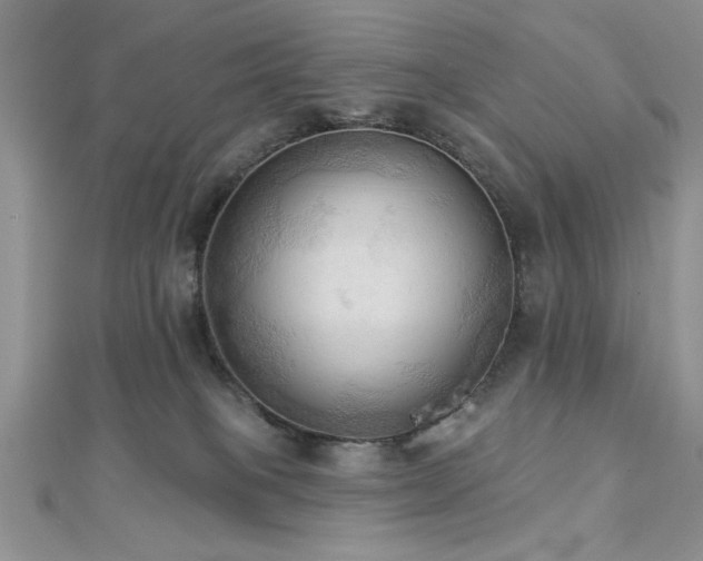 X0000113130085200909041156