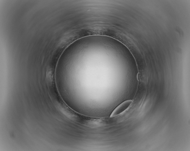 X0000113130086200909041156