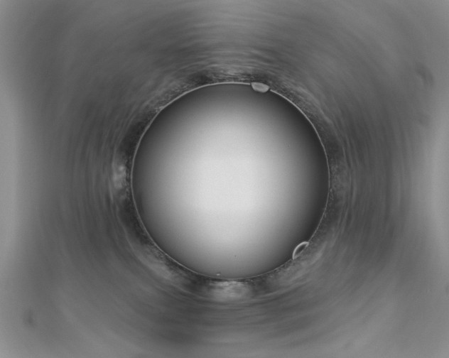 X0000113130087200909041156