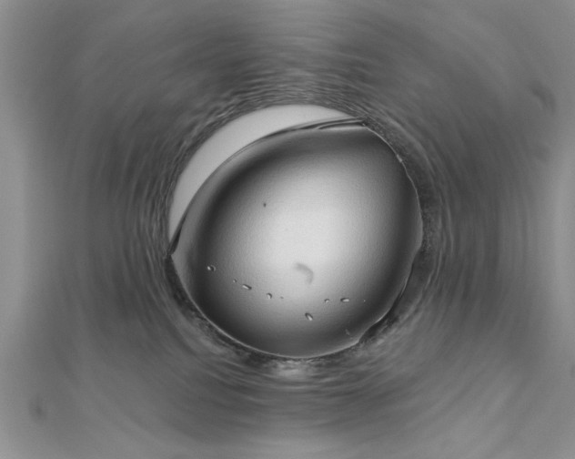 X0000113130088200909041156