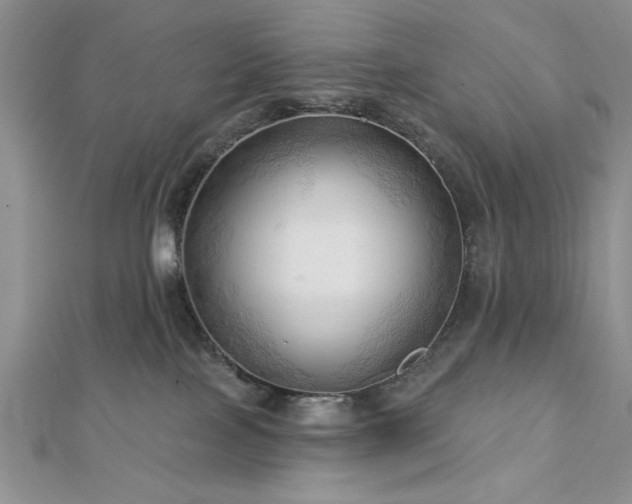 X0000113130089200909041156