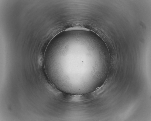 X0000113130090200909041156