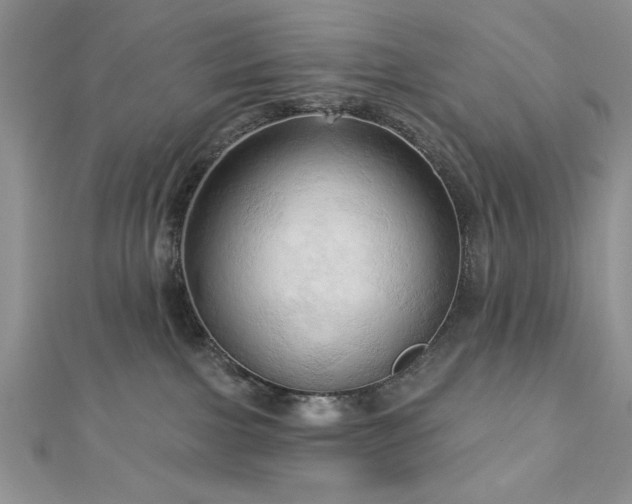 X0000113130091200909041156