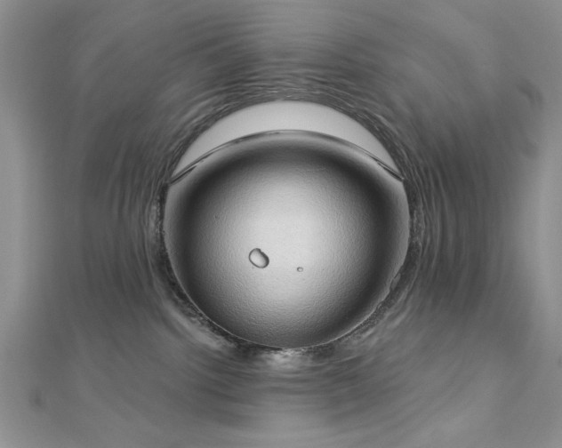 X0000113130092200909041156